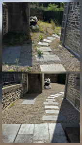 Photo de galerie - Désherbage manuel