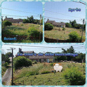 Photo de galerie - Tonte de pelouse - Débroussaillage