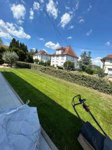 Photo de galerie - Tonte pelouse
