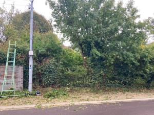 Photo de galerie - Commencer à dégager le poteau électrique 