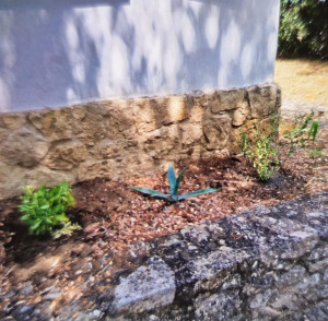 Photo de galerie - Plantation 