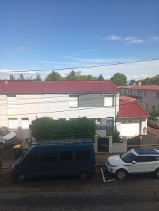 Photo de galerie - Paus deux de greis 

