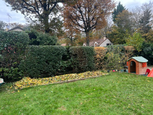 Photo de galerie - Taille de haies et d'arbustes