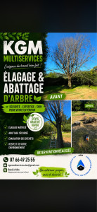 Photo de galerie - Élagage