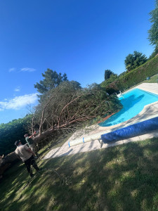 Photo de galerie - évacuation d'arbres tomber Lors d'une tempête rapidement intervenue 