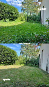 Photo de galerie - Tonte de pelouse - Débroussaillage