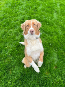 Photo de galerie - ♥️