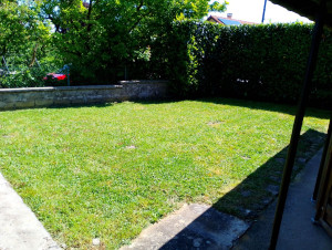 Photo de galerie - Tonte pelouse après 