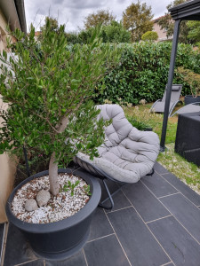 Photo de galerie - Paysagiste - Aménagement du jardin