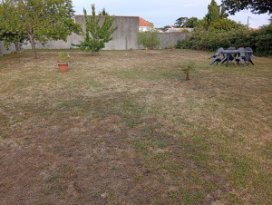 Photo de galerie - Tonte de pelouse a la tondeuse 