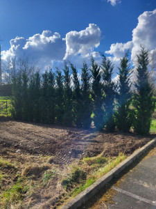 Photo de galerie - Posse 