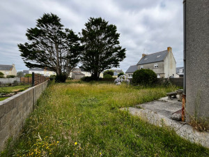 Photo de galerie - Tonte de pelouse - Débroussaillage