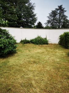 Photo réalisation - Tonte de pelouse - Débroussaillage - Aurélien B. - Sainte-Consorce : Travaux fini
