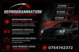 Photo de galerie - Réparation & reprogramation 
