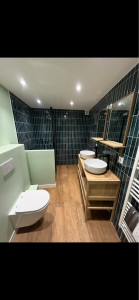 Photo de galerie - Rénovation d’une salle de bain clef en main 