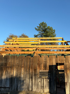 Photo de galerie - Renovation charpente 