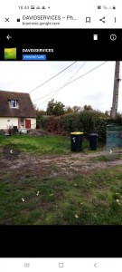 Photo de galerie - Taille de haies et d'arbustes