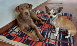 Photo de galerie - De belles journées avec Iris et Maia.