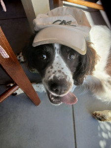 Photo de galerie - Pour éviter les coups de soleil, il est indispensable de mettre sa casquette.