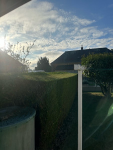 Photo de galerie - /