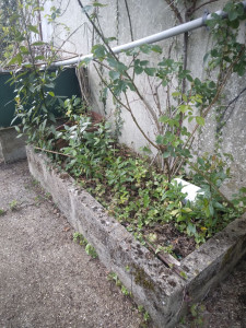 Photo de galerie - Avant 