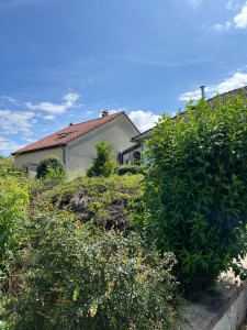 Photo de galerie - Elagage et coupe d'arbres