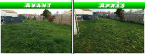 Photo de galerie - Tonte de pelouse - Débroussaillage