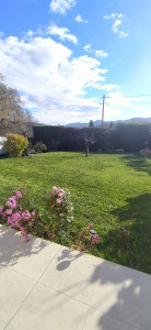 Photo de galerie - Tonte de pelouse - Débroussaillage