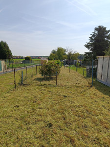 Photo de galerie - Tonte de pelouse - Débroussaillage