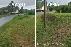 Photo de galerie - Débroussaillage/Remise en état 