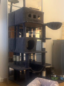 Photo de galerie - Arbre à chats 