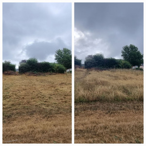 Photo de galerie - Debroussaillage