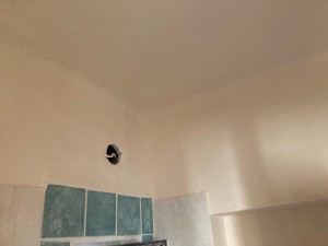 Photo de galerie - Plâtrerie - Murs - Plafonds