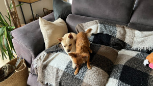 Photo de galerie - NEIGE &AIVI