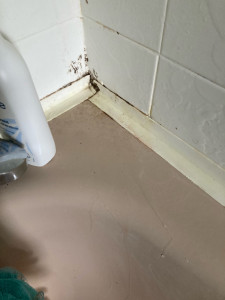 Photo de galerie - Ménage