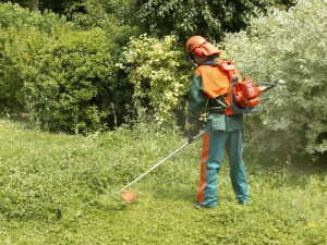 Photo de galerie - Débroussaillage 