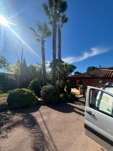 Photo de galerie - Elagage et coupe d'arbres