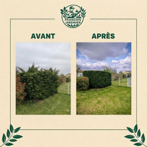 Photo de galerie - Taille de haies et d'arbustes