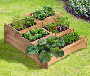 Photo de galerie - Taille de haies et d'arbustes