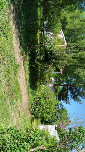 Photo de galerie - Manutention