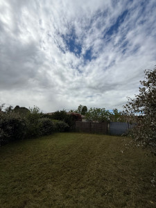 Photo de galerie - Tonte de pelouse - Débroussaillage