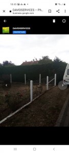 Photo de galerie - Elagage et coupe d'arbres