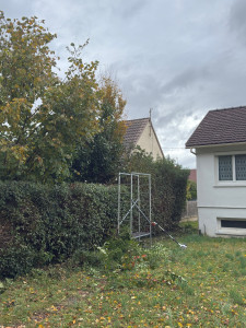 Photo de galerie - Rabattage d’une haie (AVANT)