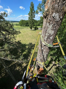 Photo de galerie - Démontage
