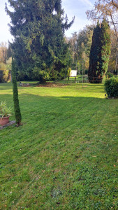 Photo de galerie - Entretien jardin