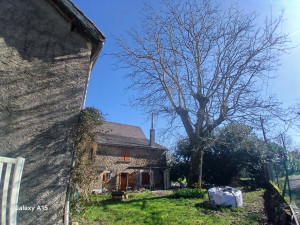 Photo de galerie - Noyer à risque