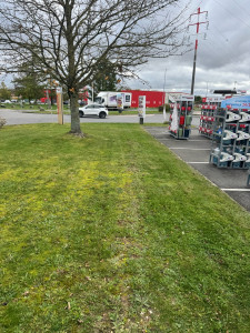 Photo de galerie - Tonte