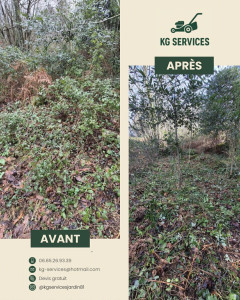 Photo de galerie - Débroussaillage d'un terrain 