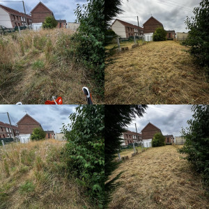 Photo de galerie - Débroussaillage 