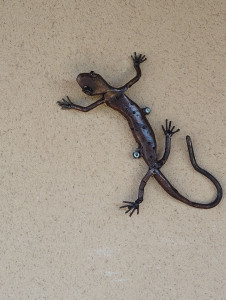 Photo de galerie - Réalisation d'une salamandre 